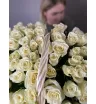 101 Кения в корзине 2