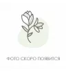 25 роз микс (премиум сорт)