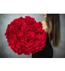 101 красная роза (Премиум сорт)