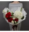 Рафаэлло 1
