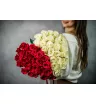 Сердце из 51 розы 1