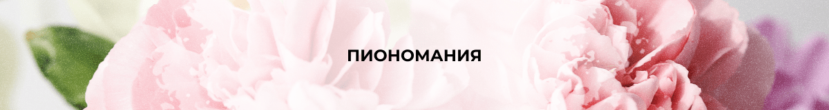 ПиономанияЧебоксарах